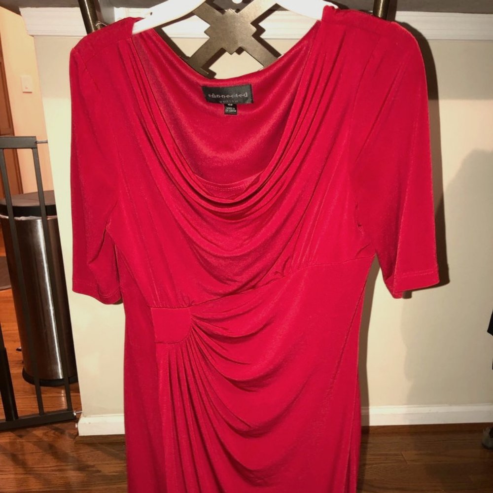 Professional/Fancy Red dress